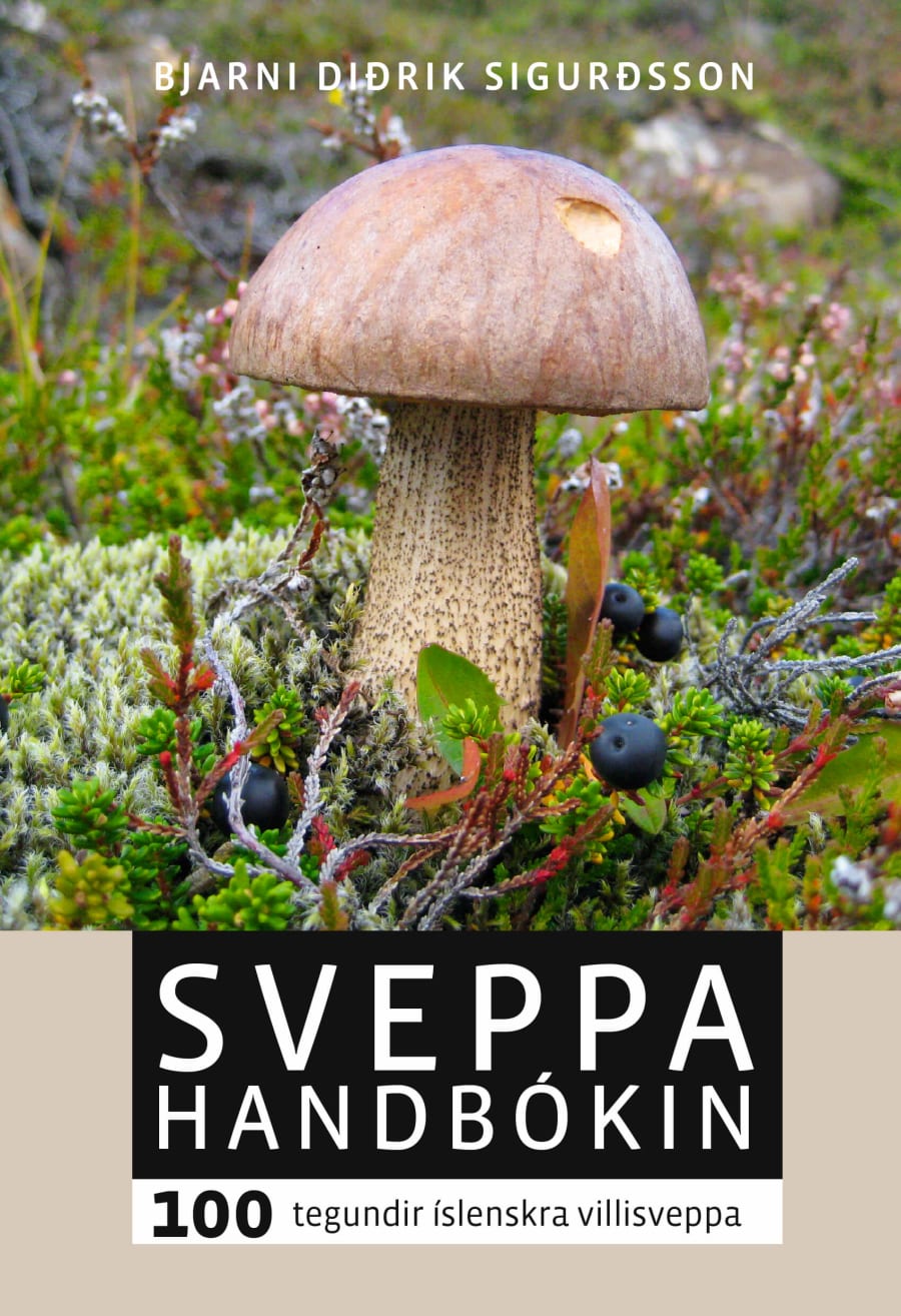 Sveppahandbókin