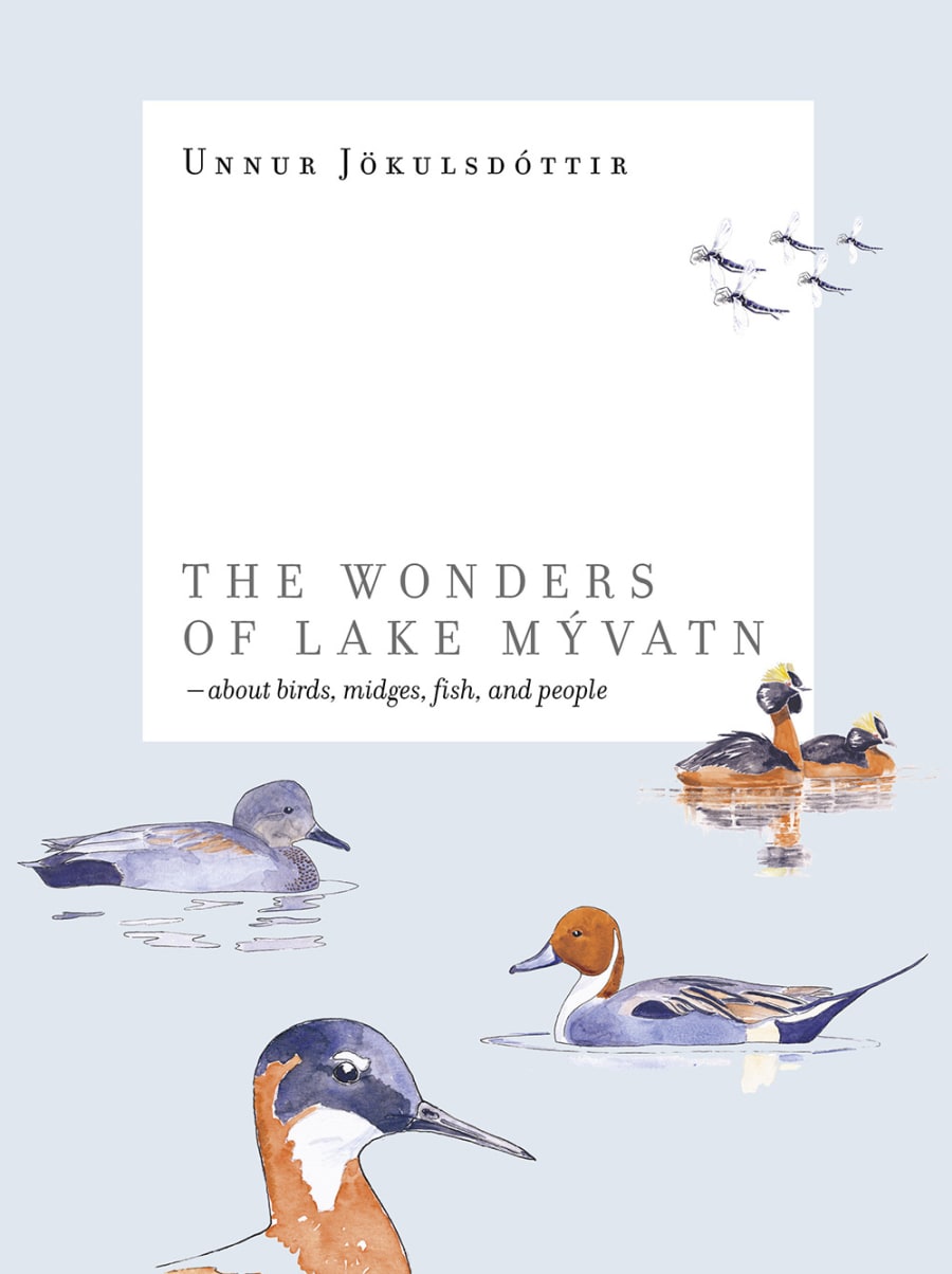 The Wonders of Lake Mývatn