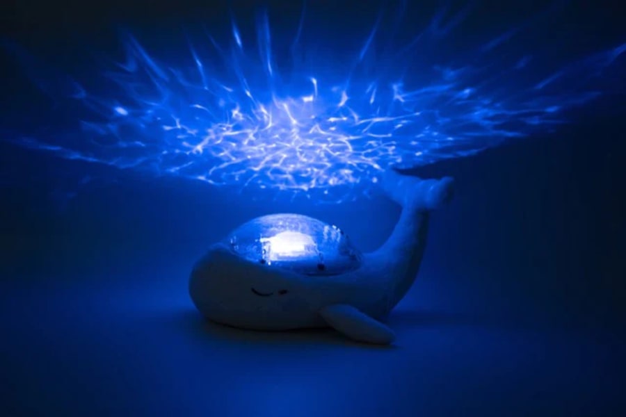 Tranquil Whale™ Family – Blue