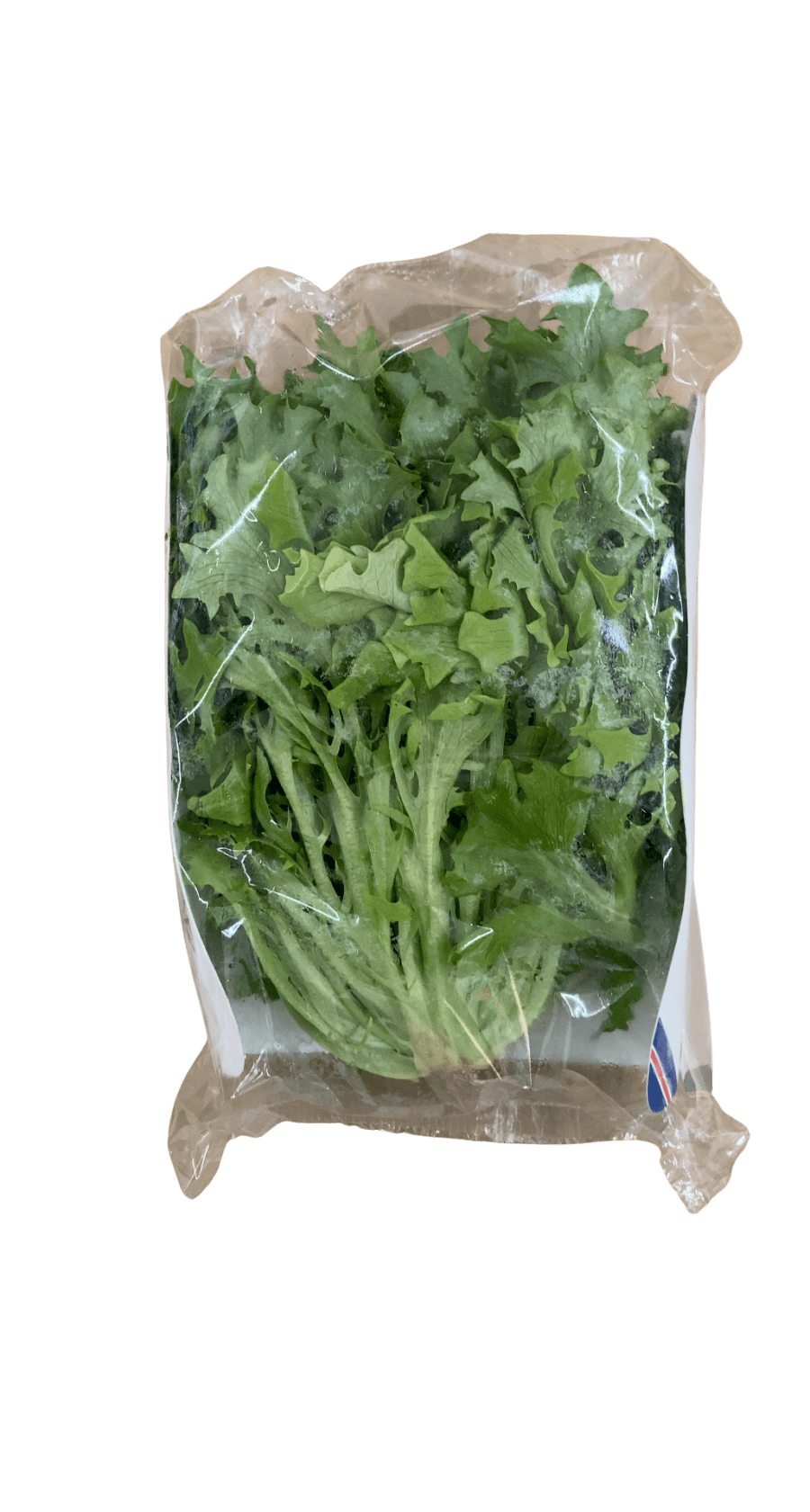Lambhagi Crispísalat