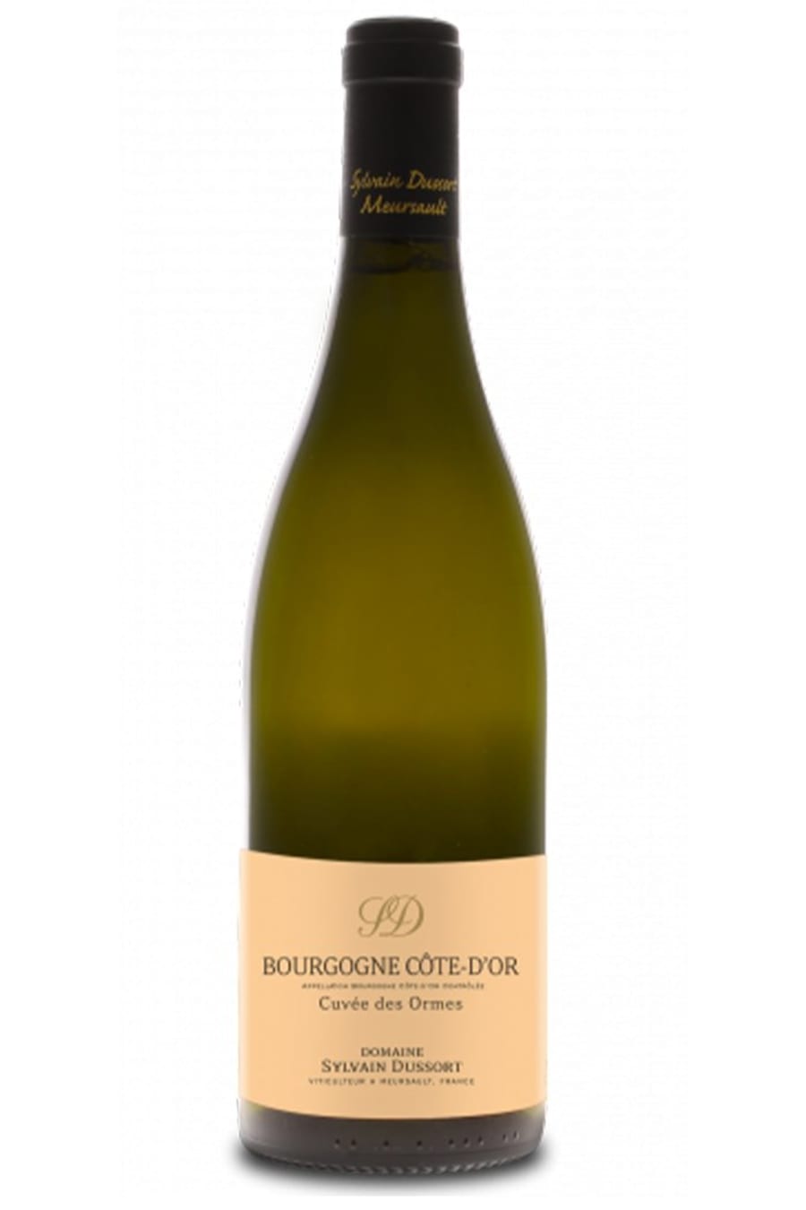 2021 Sylvain Dussort Bourgogne Blanc Cote d'Or Cuvée des Ormes