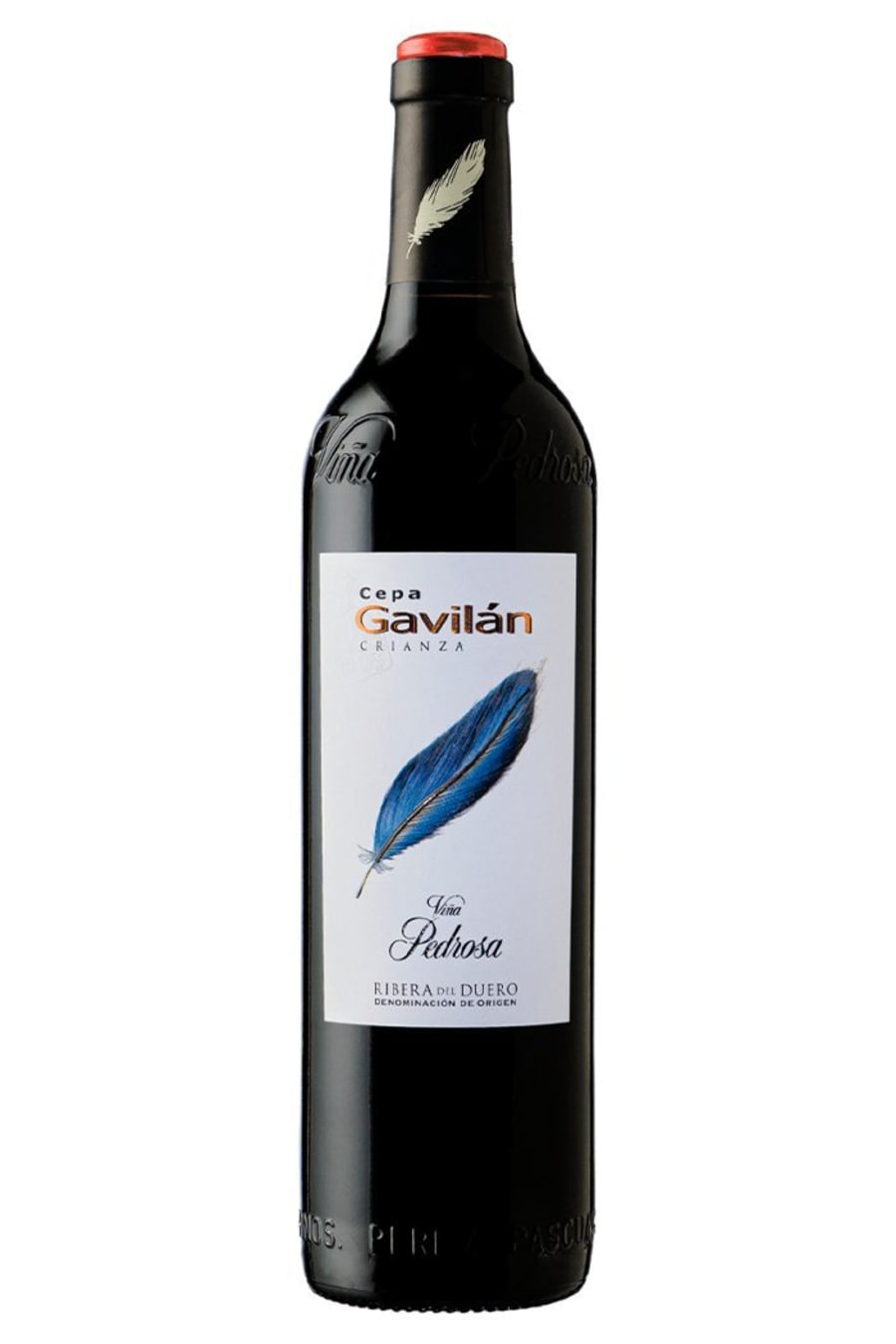 2022 Cepa Gavilan Crianza