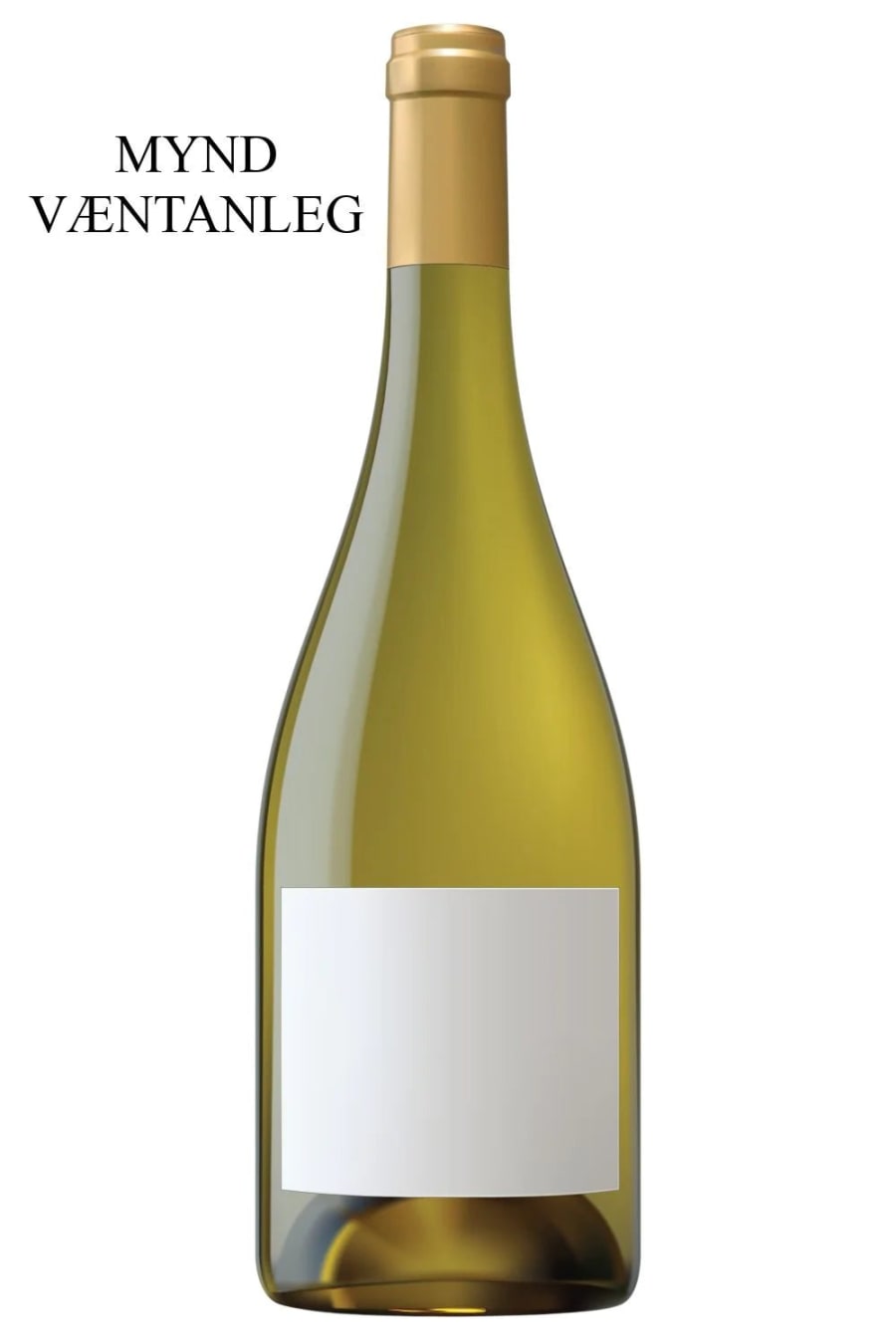 2023 Morey-Coffinet Chassagne-Montrachet 1er Cru En Cailleret