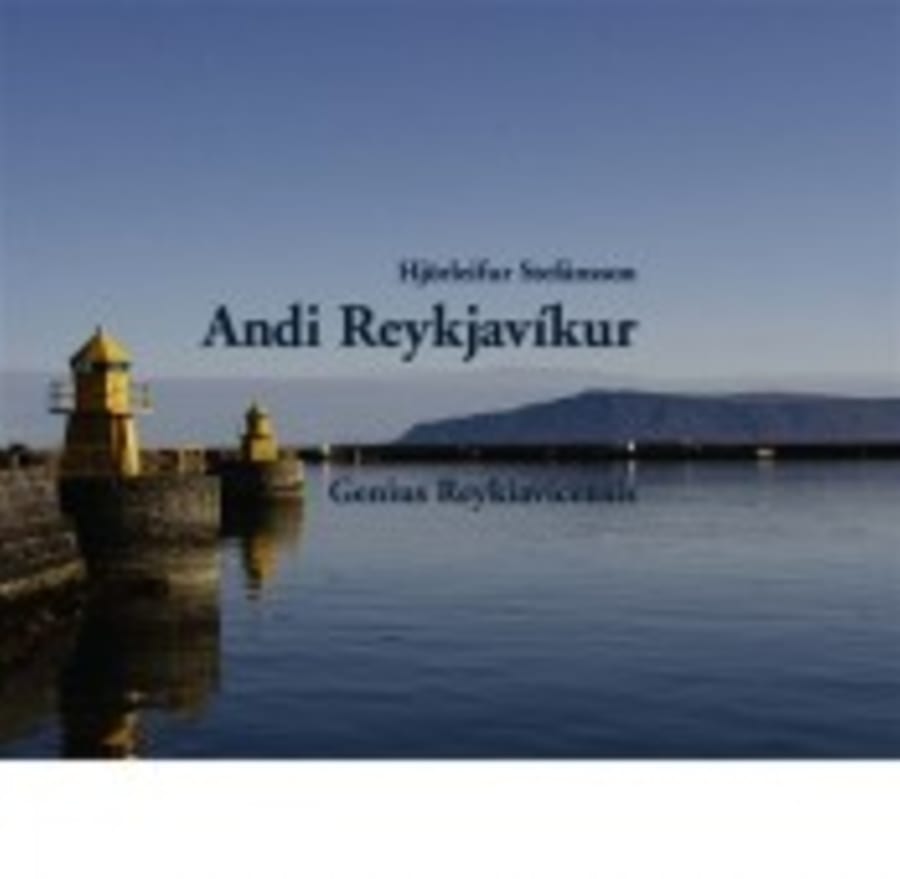 Andi Reykjavíkur