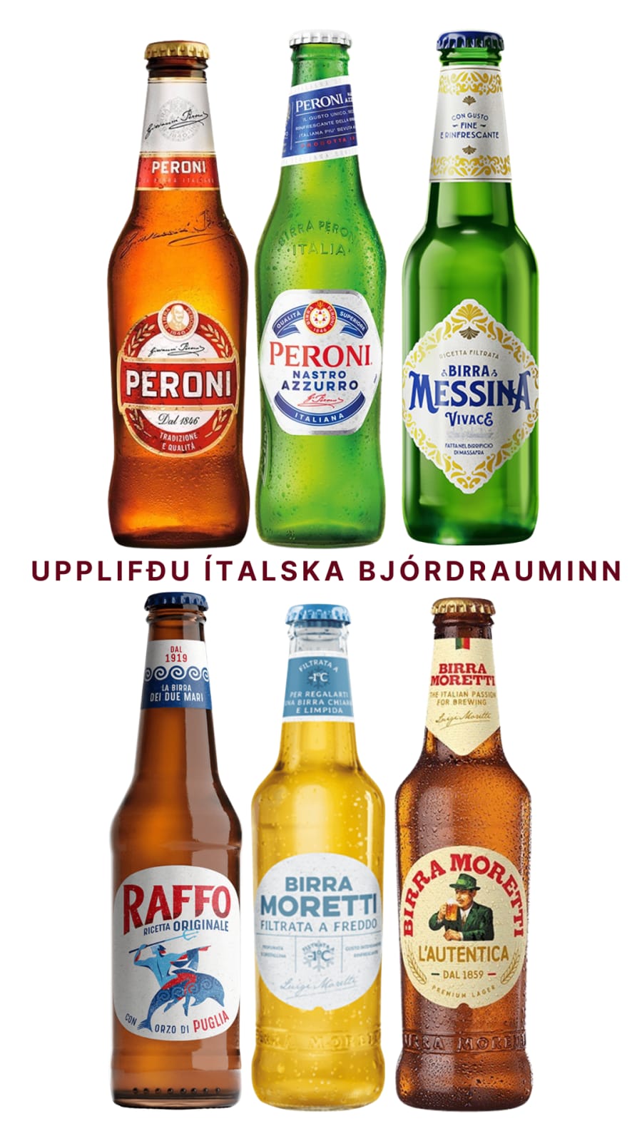 Ítalski bjórdraumurinn / 24 flöskur - 6 tegundir
