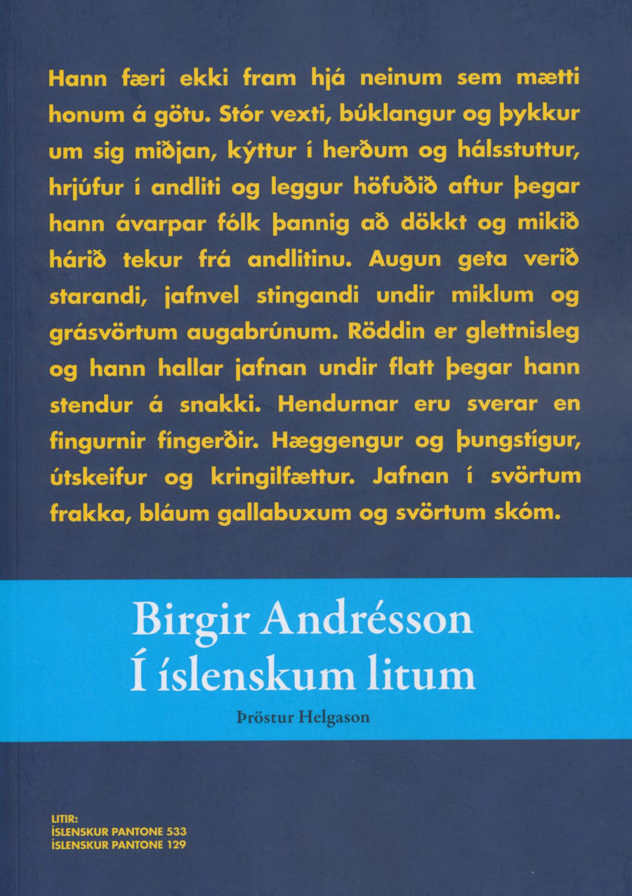 Birgir Andrésson - í íslenskum litum