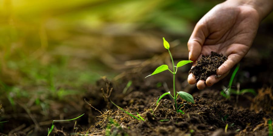 BlueVent MUMU moltugerðartæki