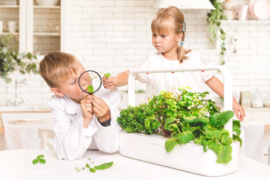 Click and Grow Smart Garden 9 Starter Kit HVÍTUR