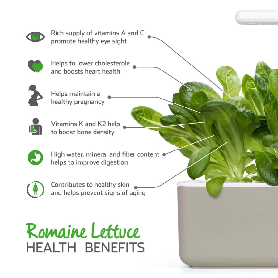 Click and Grow Smart Garden Áfylling 3-pack - Romaine Lettuce