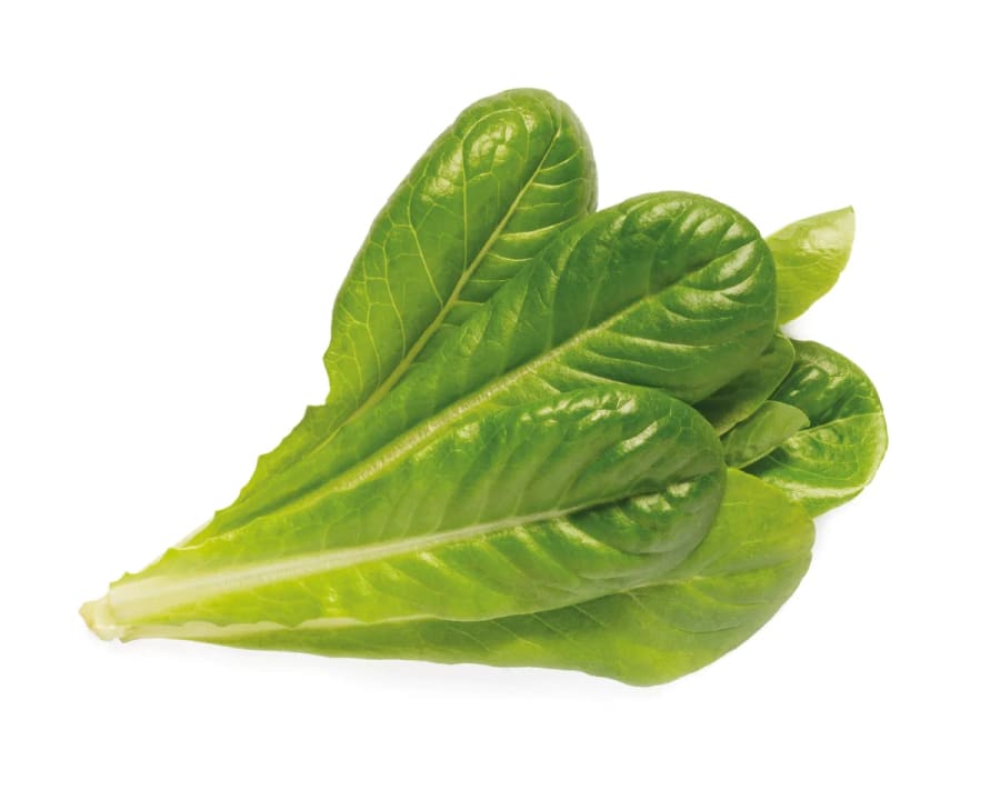 Click and Grow Smart Garden Áfylling 3-pack - Romaine Lettuce