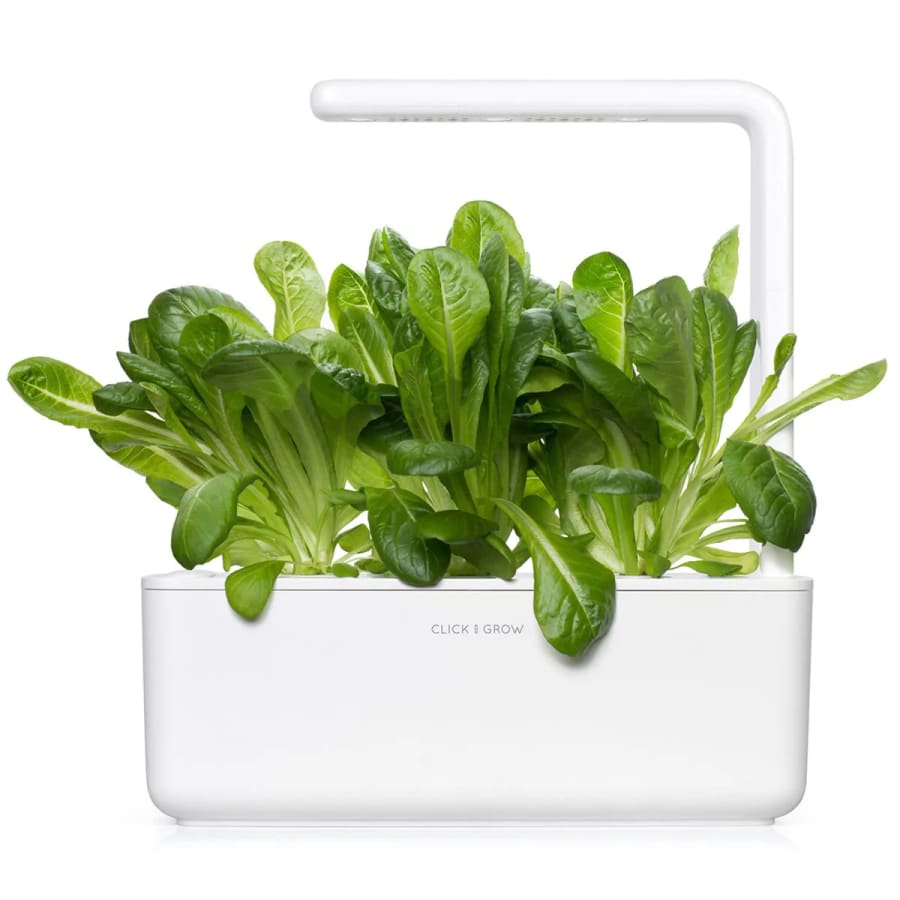 Click and Grow Smart Garden Áfylling 3-pack - Romaine Lettuce