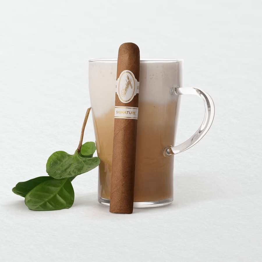 Davidoff Signature 6000