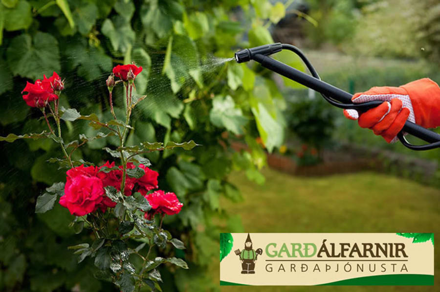 Garðaúðun hjá Garðálfunum 