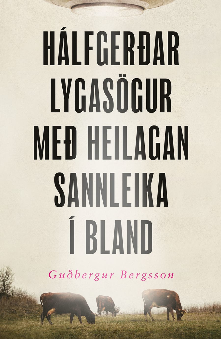 Hálfgerðar lygasögur með heilagan sannleika í bland