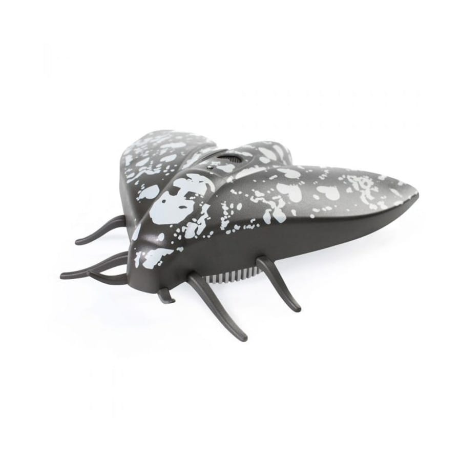 Jalo - Lento 10 black