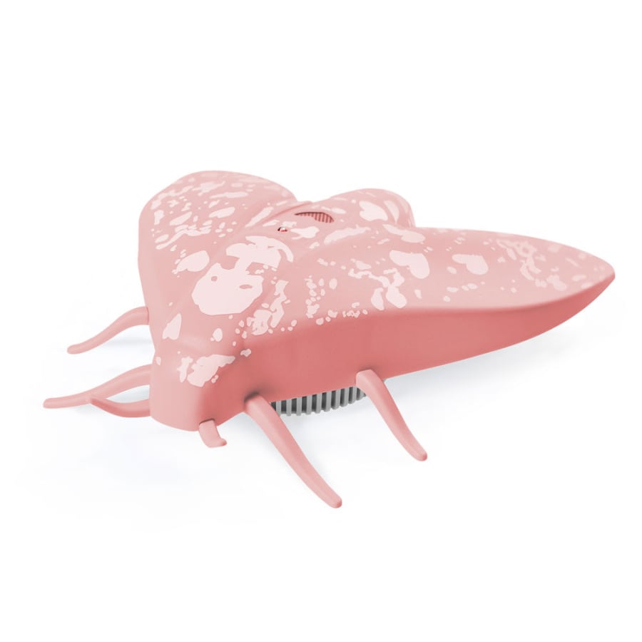 Jalo - Lento 10 rose