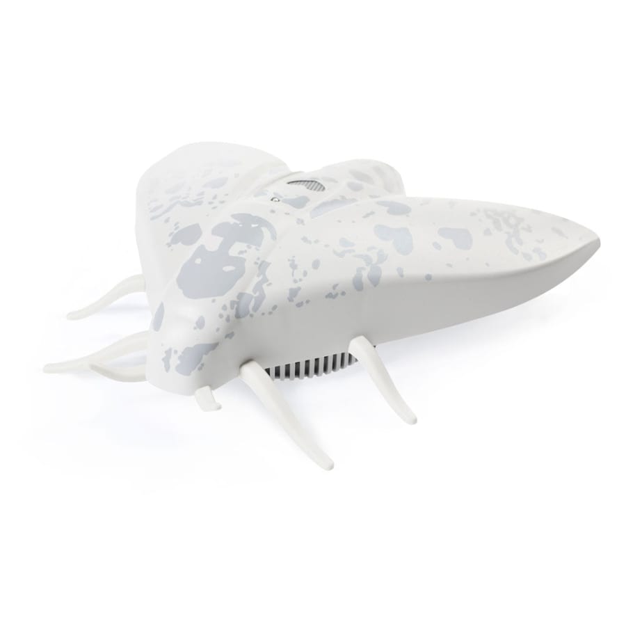 Jalo - Lento 10 white