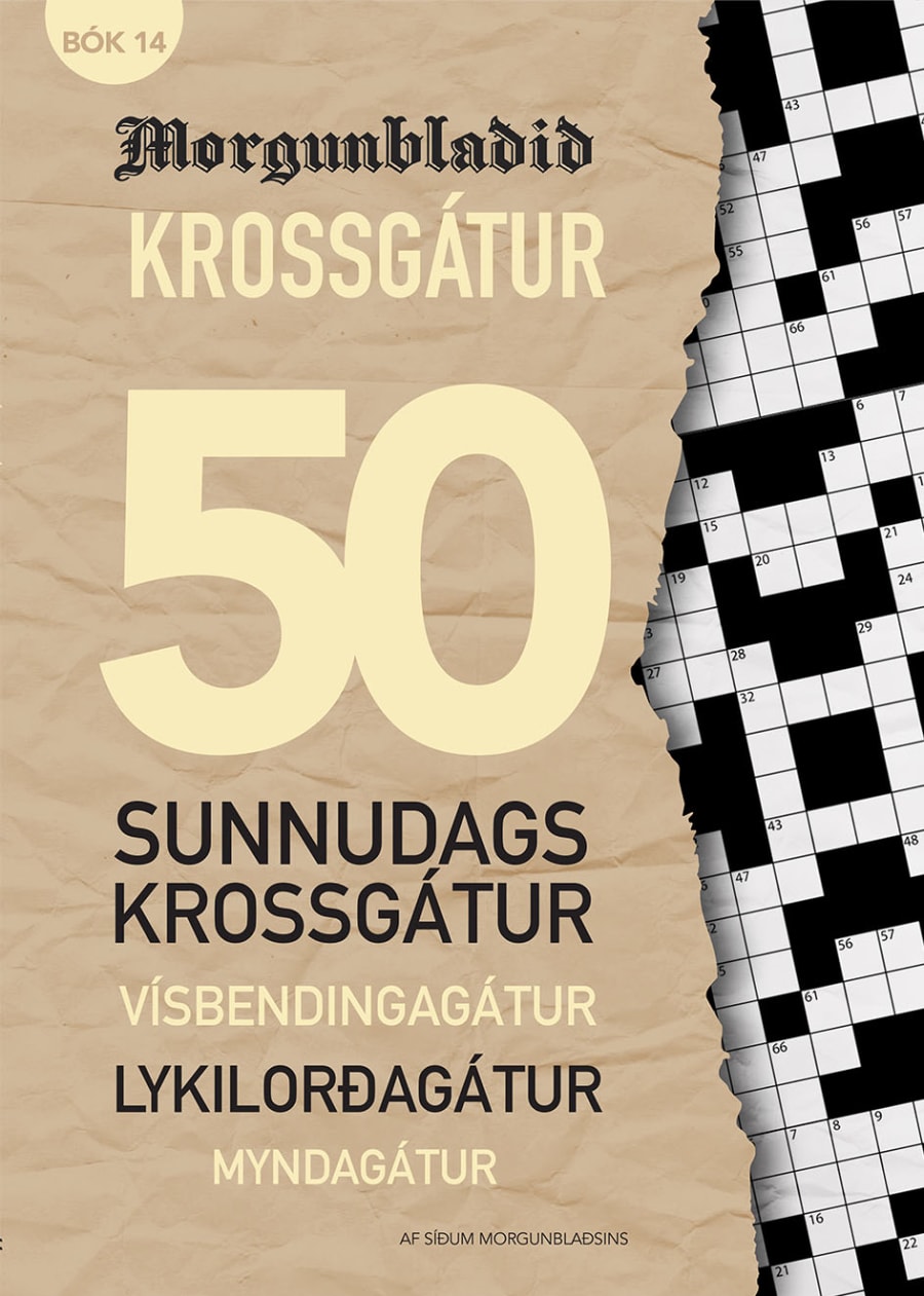 Krossgátur Morgunblaðið bók 14