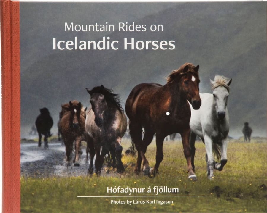Mountain rides on Icelandic horses / Hófadynur á fjöllum