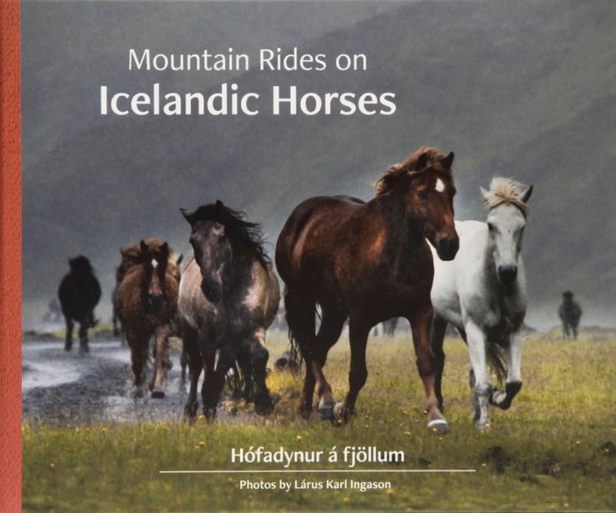 Mountain rides on Icelandic horses