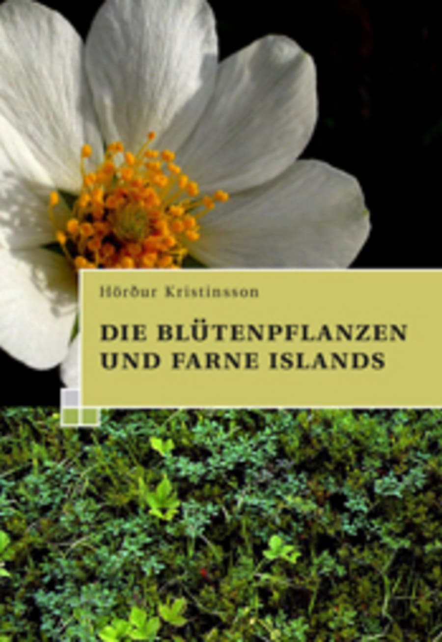 Die Blütenpflanzen und farne islands
