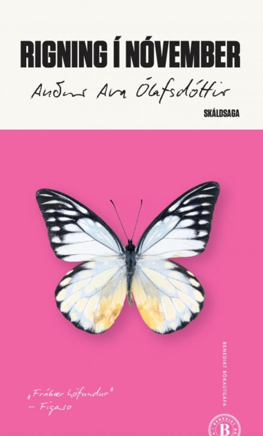 Rigning í nóvember